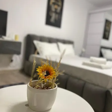 Appartement Wow Unirii-coposu *