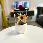 Wow Unirii-coposu Apartmán *