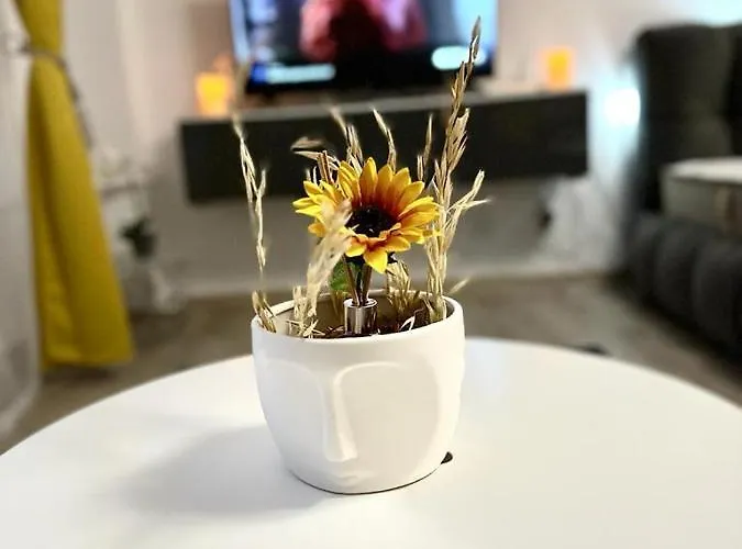 Wow Unirii-coposu 公寓 *