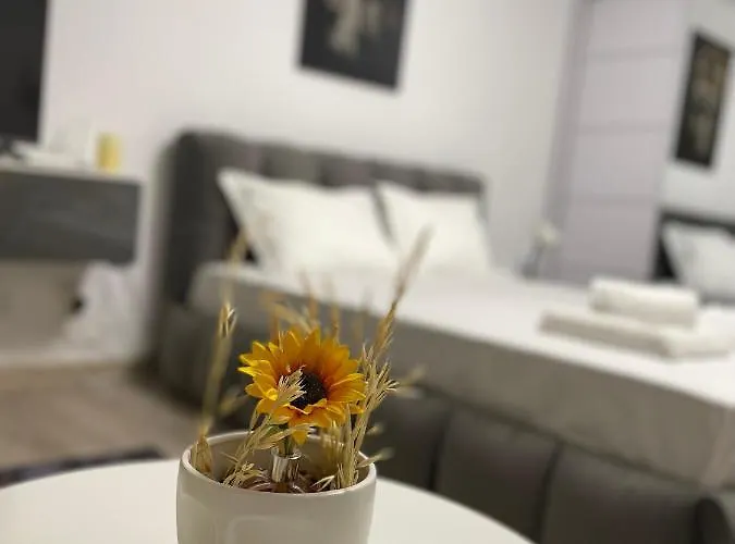 Apartament Wow Unirii-coposu *